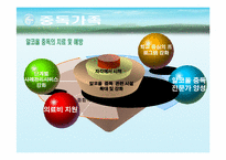 [가족복지론] 중독가족의 이해와 해결 방안-10