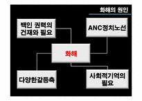 남아공의 과거사 청산 방식에 대한 고찰-19
