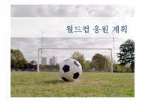 [문화산업의이해] 월드컵 응원 계획-1