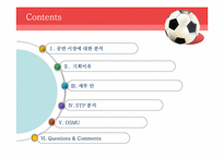 [문화산업의이해] 월드컵 응원 계획-2