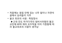 [조경사] 사찰의 유래와 사찰조경-7