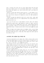 중앙아메리카 레포트-3
