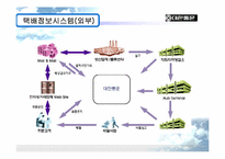 [경영정보시스템] 대한통운의 정보시스템-11