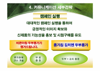 [광고홍보론] 두부종가 광고전략-17