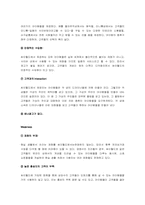 [마케팅사례] 싸이월드 마케팅성공사례-14