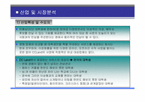 [사업계획서] 대학생 미팅 전문업체 사업계획서-5