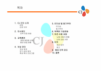 CJ 기업분석 레포트-2