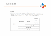 CJ 기업분석 레포트-13