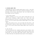 [경영학] 삼성반도체산업 성공요인분석-18