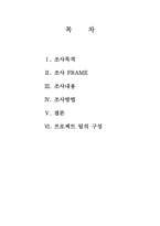 [마케팅조사] KTFT EVER 소비자만족이미지 리포지셔닝-2