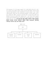 [조직관리] Southwest Airlines 조직관리-14