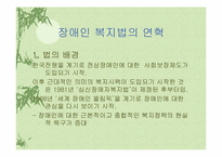 장애인복지법 레포트-2