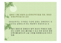 장애인복지법 레포트-3