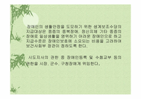 장애인복지법 레포트-9