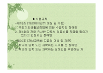 장애인복지법 레포트-20