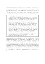 [여성학] 개작된 그림동화를 통한 아동의 성차별 및 성역할 고정관념 변화 연구-7