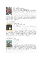 [일본문화] 지브리스튜디오와 미야자키 하야오에 관해서-3