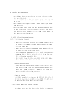 신경계정리 레포트-6