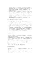 신경계정리 레포트-17