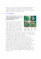 [환경] 우리나라 산성비의 향후정망 및 대책-11