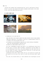 환경오염의 실태와 해결-4