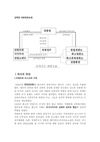 [러시아] 러시아정치의 이해- 기본구조와 특징-2
