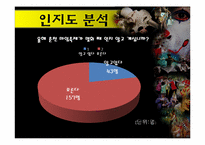 [관광조사론] 춘천 마임축제(사전인지도 조사 및 관심도 조사)-13