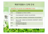 해외봉사 황동에 관한 고찰-5
