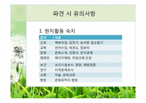 해외봉사 황동에 관한 고찰-11