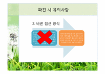 해외봉사 황동에 관한 고찰-12