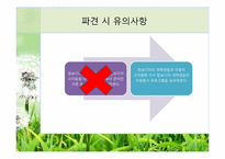 해외봉사 황동에 관한 고찰-13