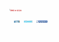 SNS(Social Network Service)에 관한 고찰-11