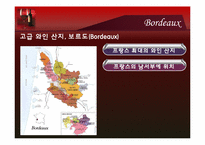 [컨벤션이벤트] Bordeaux Wine Festival(보르도 와인 축제)-4