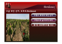 [컨벤션이벤트] Bordeaux Wine Festival(보르도 와인 축제)-5