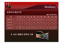 [컨벤션이벤트] Bordeaux Wine Festival(보르도 와인 축제)-9