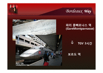 [컨벤션이벤트] Bordeaux Wine Festival(보르도 와인 축제)-10