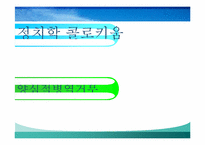 [정치학콜로키움] 양심적 병역거부에 관한 고찰-1