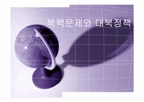 [정치학콜로키움] 북핵문제와 대북정책에 관한 고찰-1