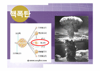 [정치학콜로키움] 북핵문제와 대북정책에 관한 고찰-2