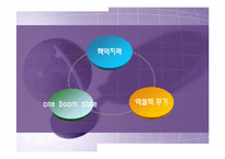 [정치학콜로키움] 북핵문제와 대북정책에 관한 고찰-3