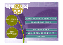 [정치학콜로키움] 북핵문제와 대북정책에 관한 고찰-4