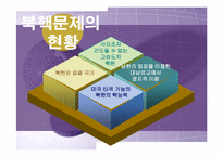 [정치학콜로키움] 북핵문제와 대북정책에 관한 고찰-5