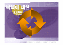 [정치학콜로키움] 북핵문제와 대북정책에 관한 고찰-7