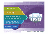 [정치학콜로키움] 북핵문제와 대북정책에 관한 고찰-11