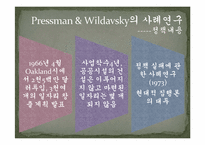 [정책집행론] 제2의 롯데월드(Pressman&Wildavsky의 사례연구와 비교)-2