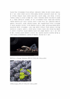 [미학개론] 하이퍼리얼리즘(hyperrealism)-7