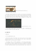 [영상예술의이해] 영화 속 미적 욕망을 탐구하기(영화 향수를 중심으로)-9
