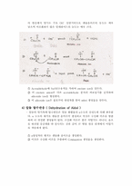 [유기화학실험] Preparation of Benzalacetophenone-3