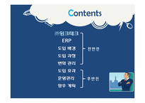 [정보시스템] 잉크테크의 기업 정보화(ERP도입 사례)-2