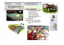 [창의적문제해결] 스포츠 산업(프로야구 구단)에대한 비즈니스 모델 분석-6